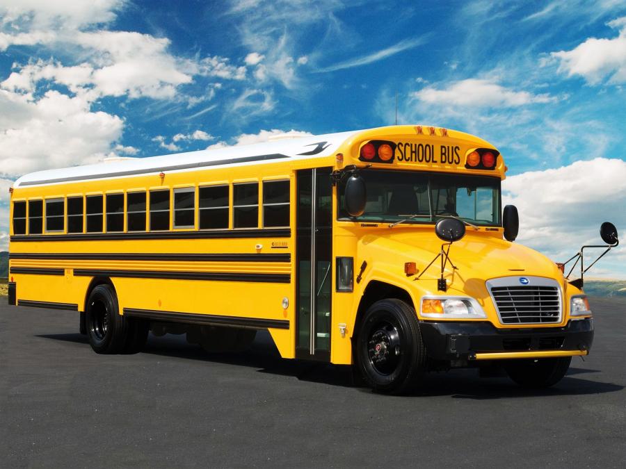  Blue Bird Vision School Bus 2008 года  (фото 7 из 7)